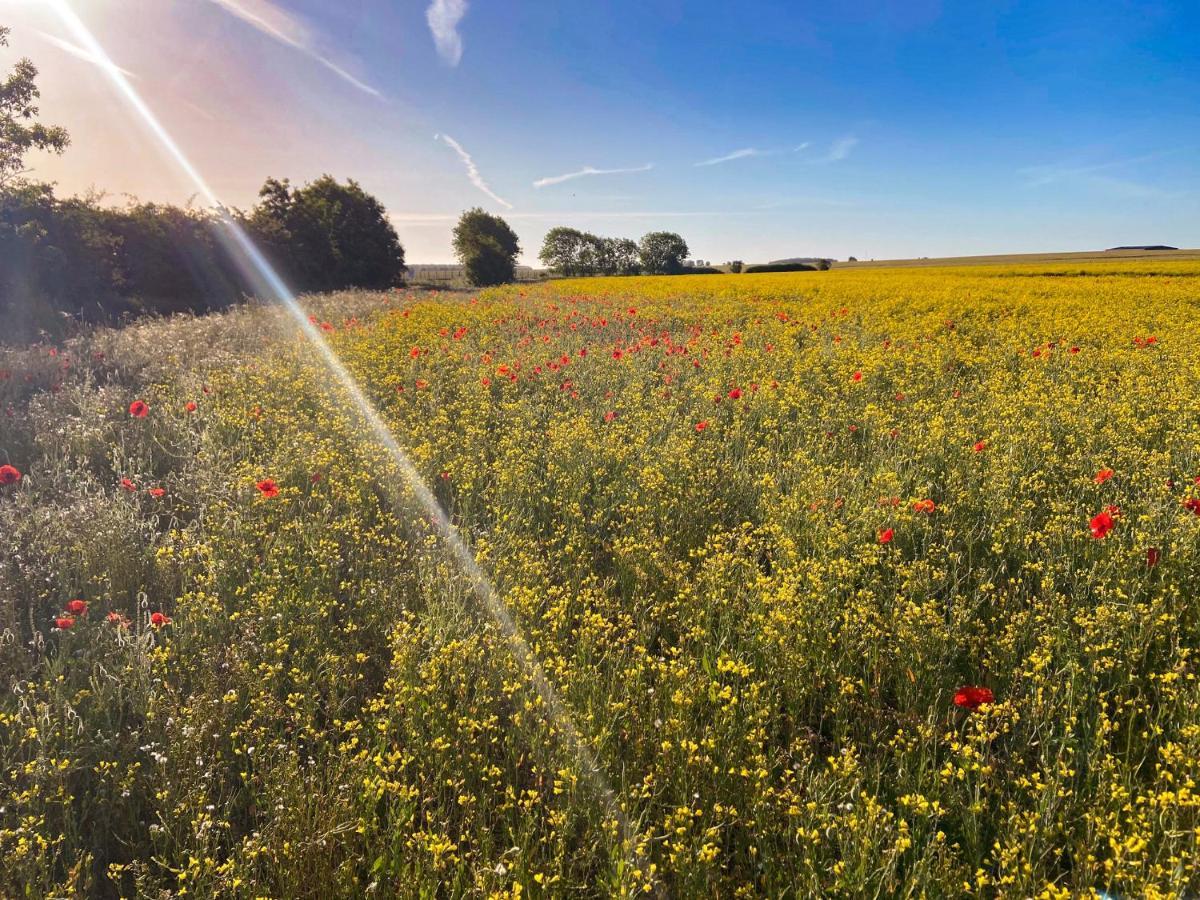 Sunny Cottage Grantham Buitenkant foto
